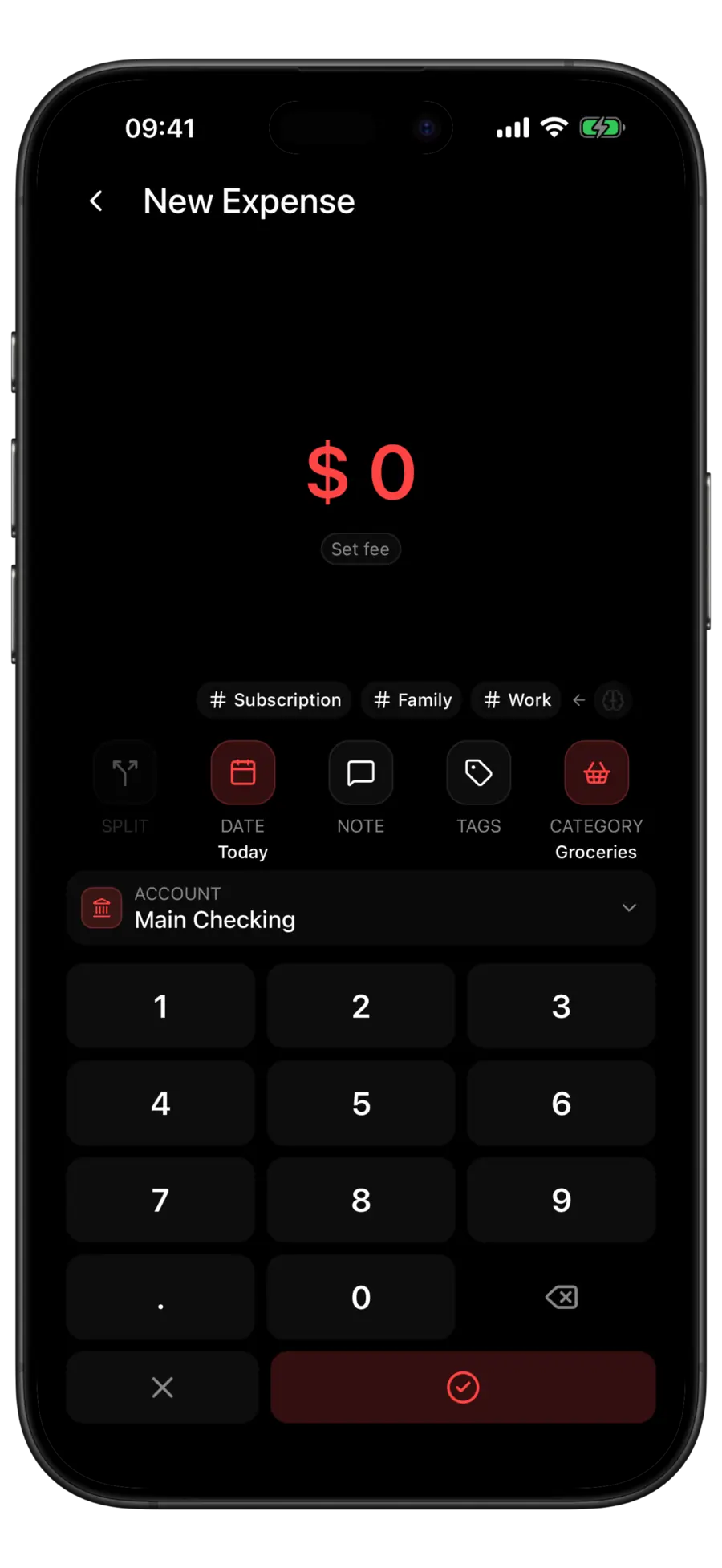 Budgie new expense screen with the Groceries category selected and three suggested tag pills above the actions